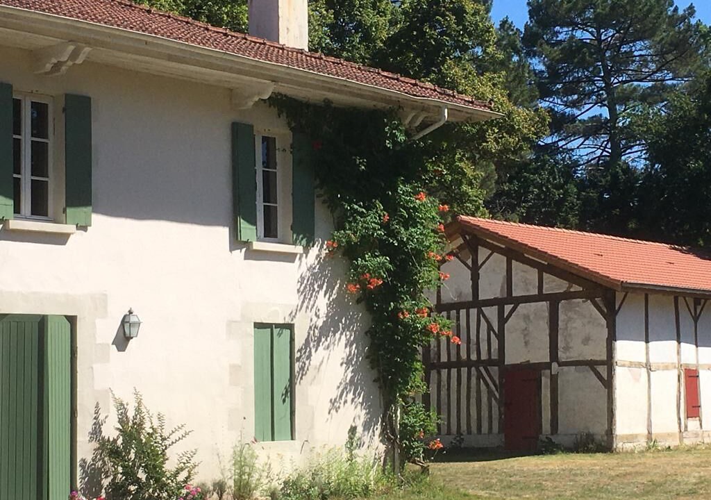 Photo of Outdoor in Pontenx-les-Forges
