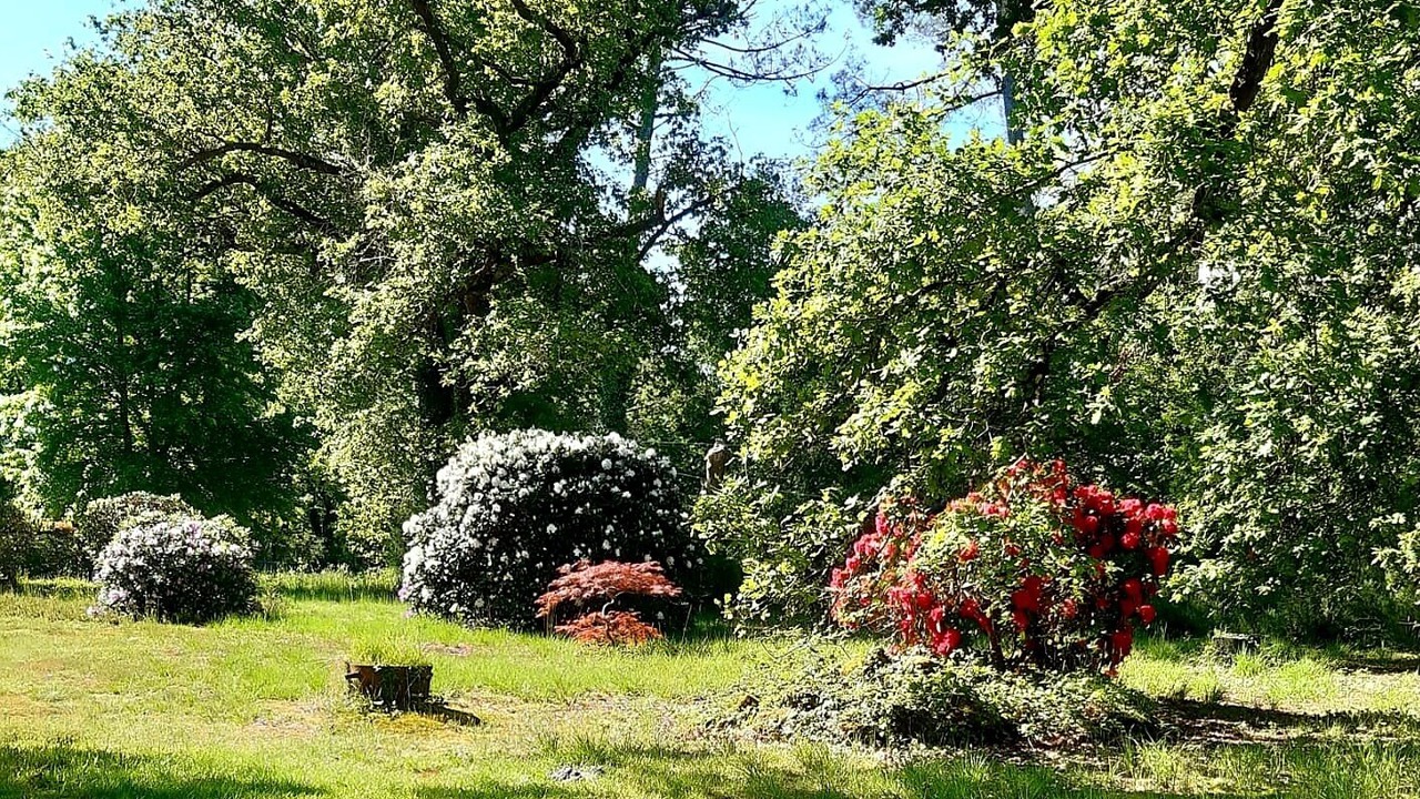 Photo of Outdoor in Pontenx-les-Forges