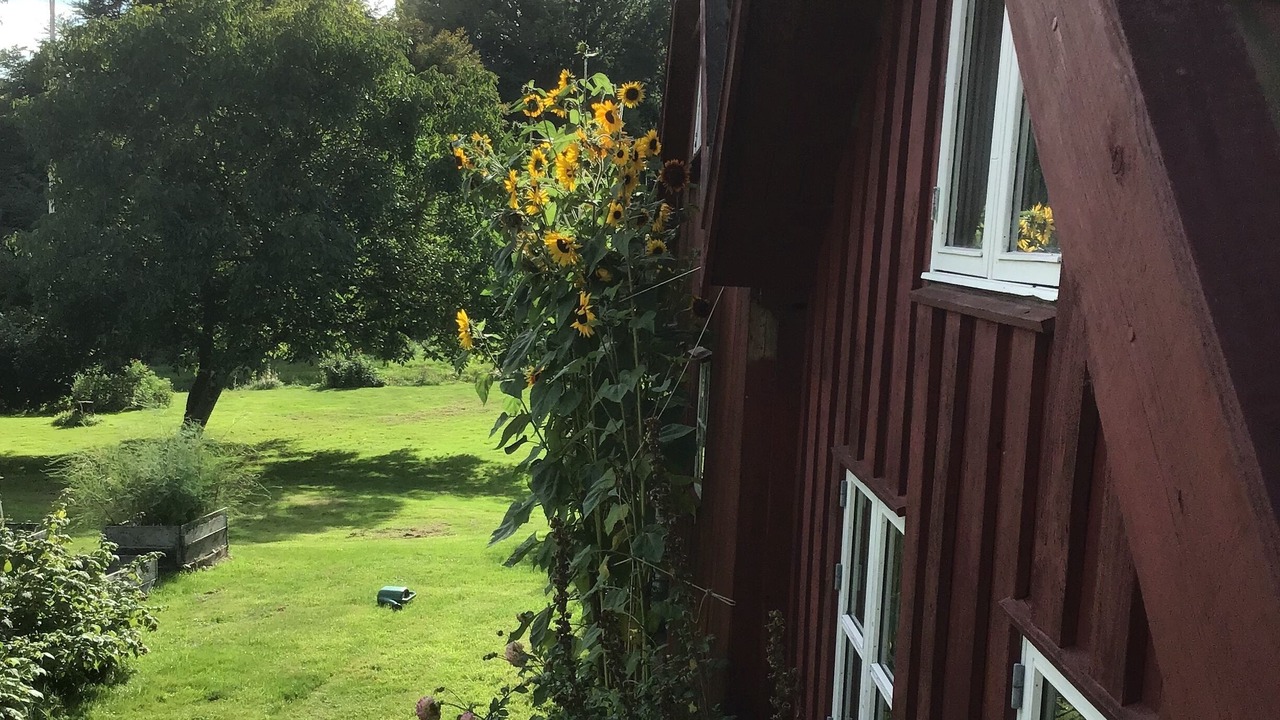 Photo of Outdoor in Vejstrup