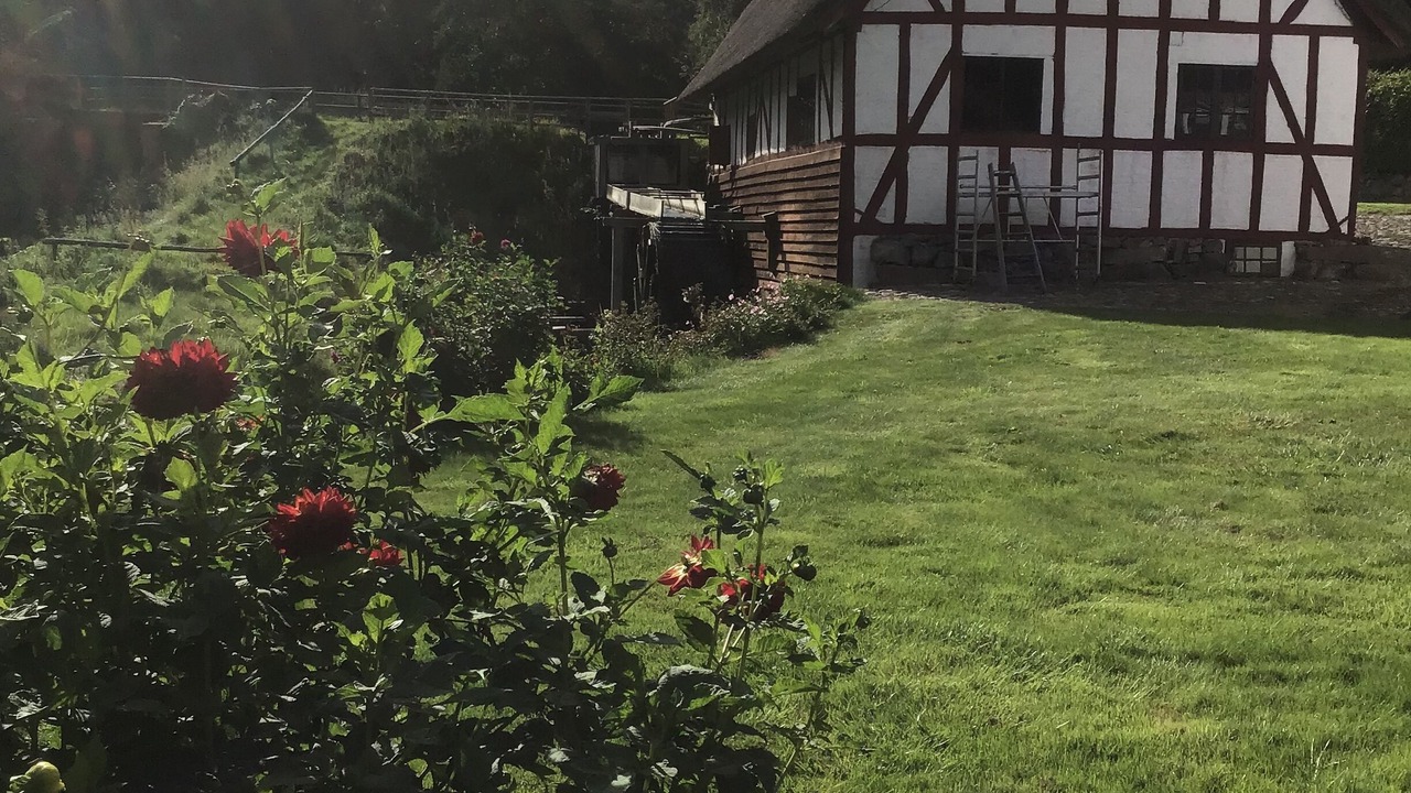 Photo of Outdoor in Vejstrup