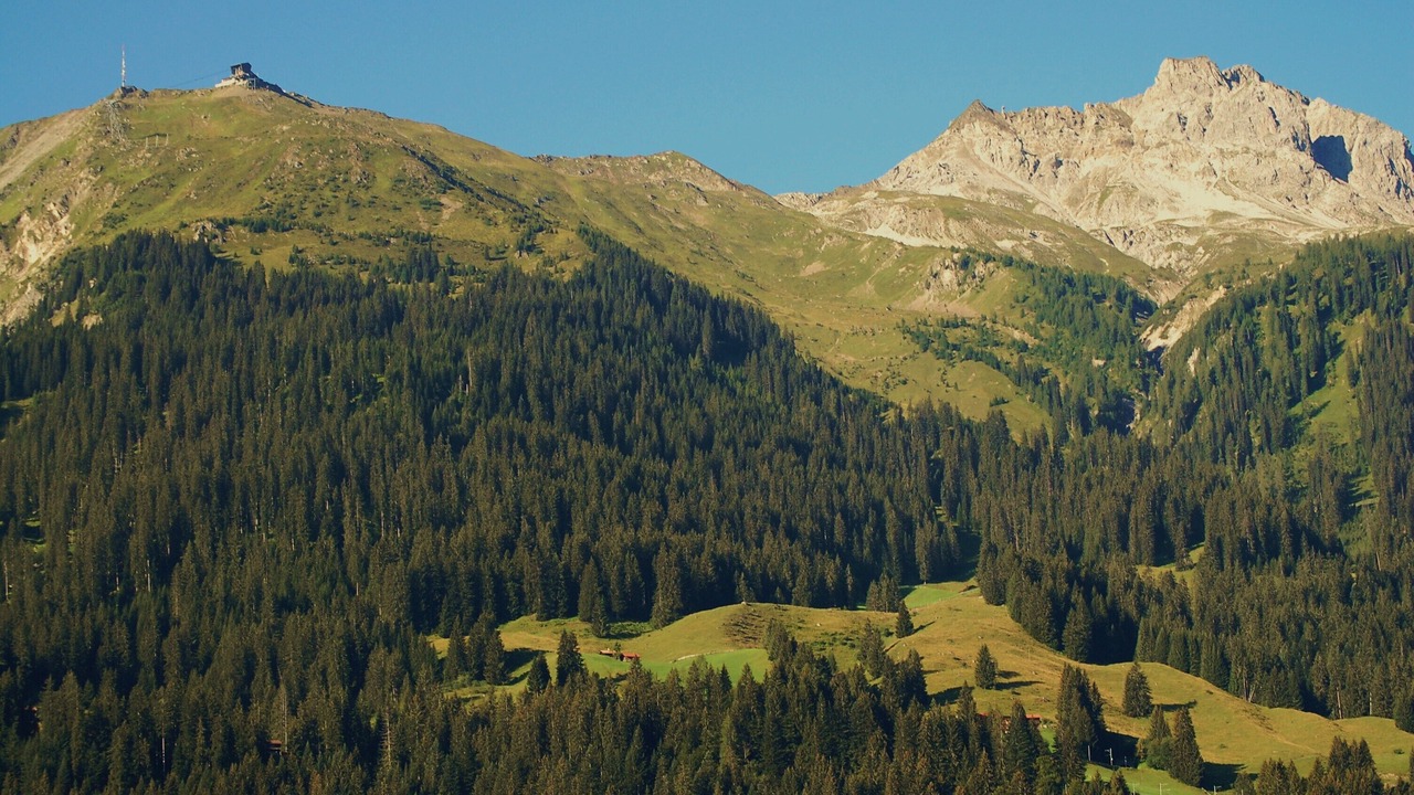 Photo of Others in Klosters Dorf