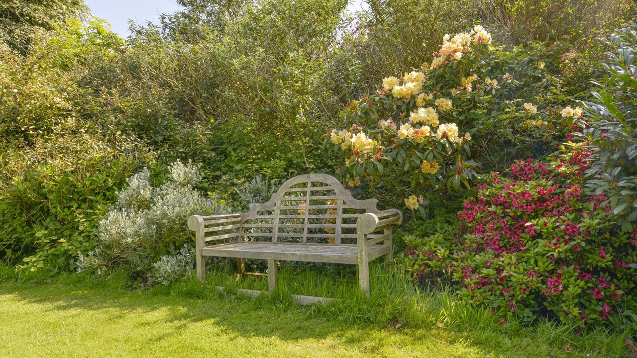 Photo of Outdoor in Westleigh