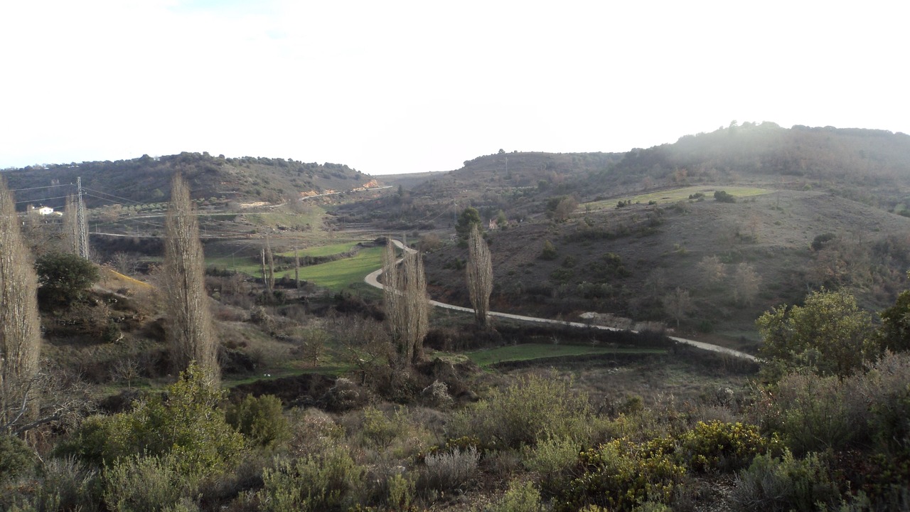 Photo of Others in Hueva