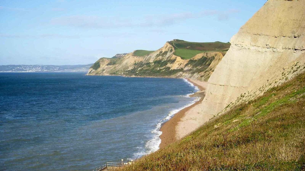 Photo of Others in West Bay