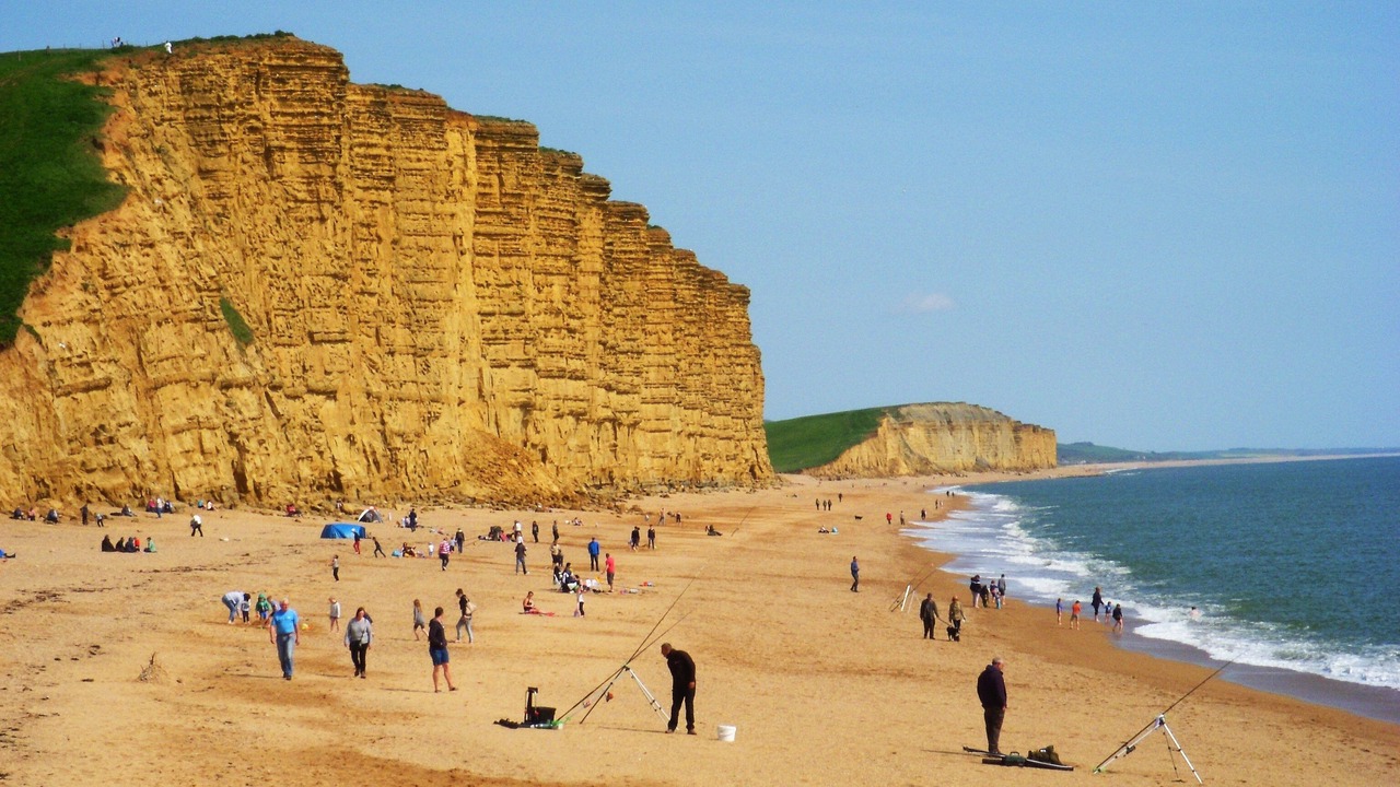 Photo of Others in West Bay