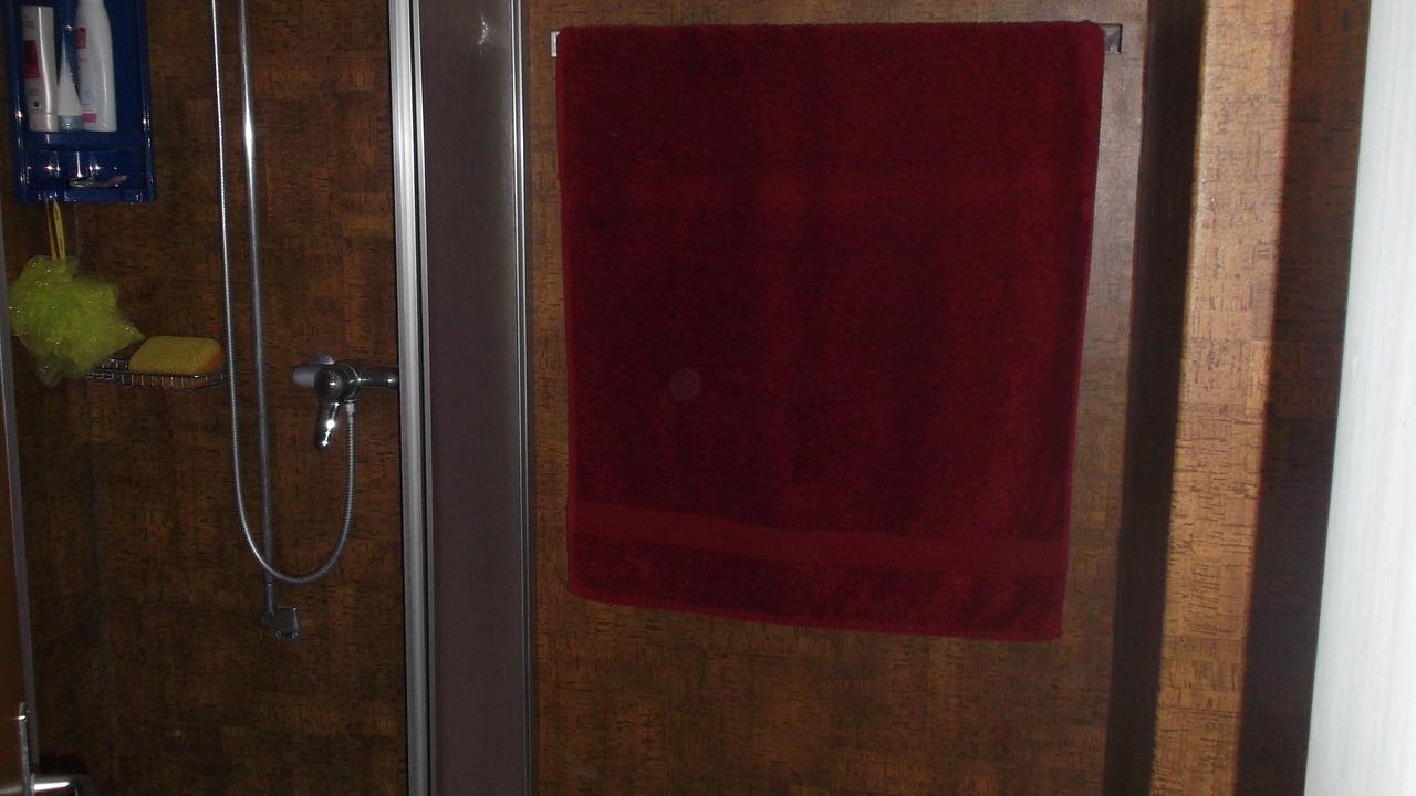 Photo of Bathroom in Lauterbrunnen