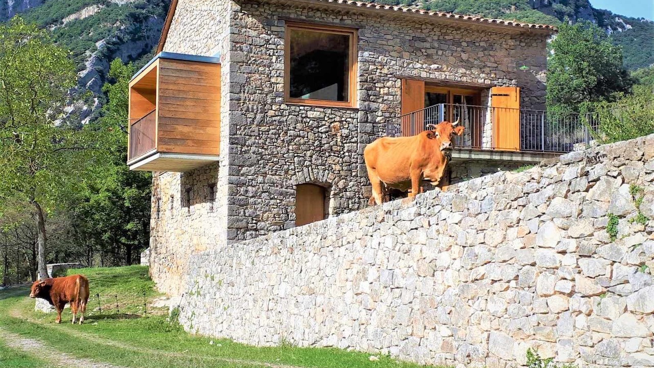 Photo of Others in Montagut