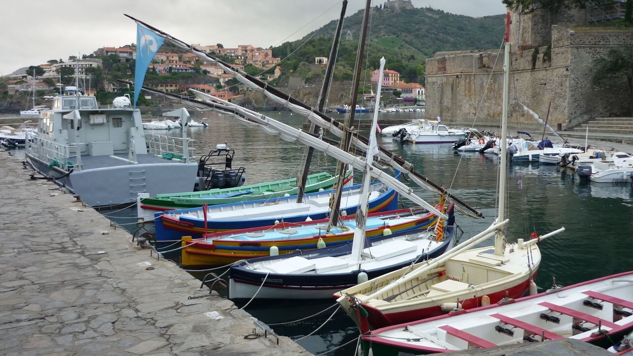 Photo of Others in Collioure