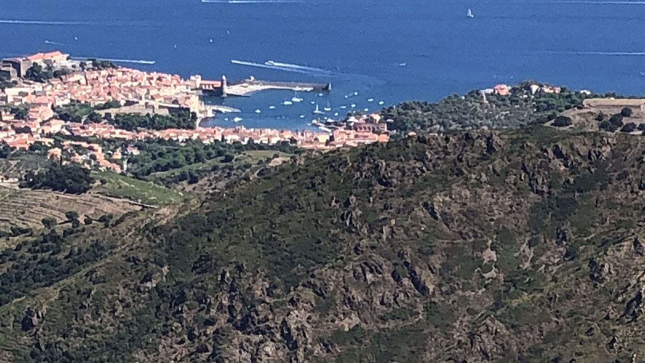 Photo of Outdoor in Collioure