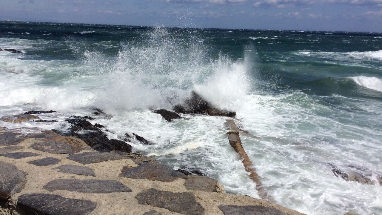 Photo of Others in Collioure