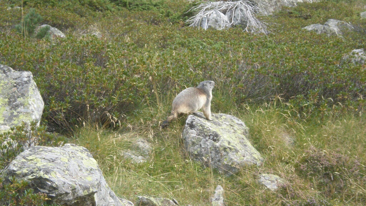 Photo of Outdoor in Cauterets