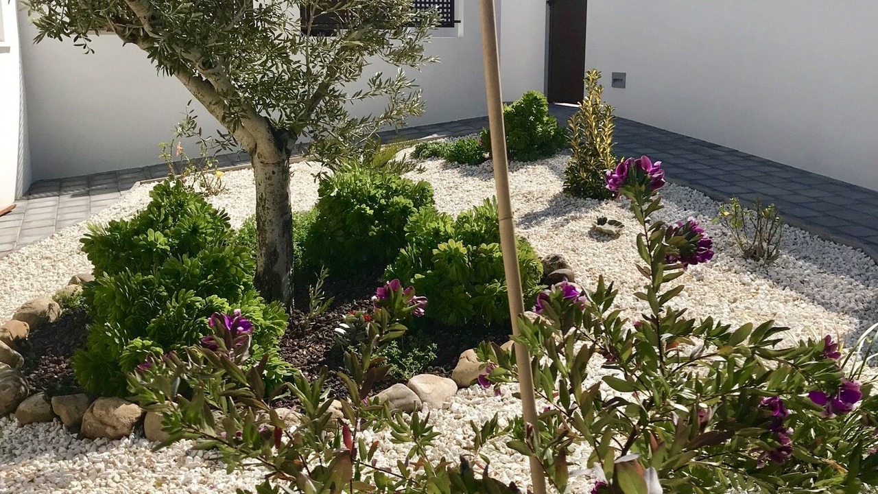 Photo of Outdoor in La Siesta