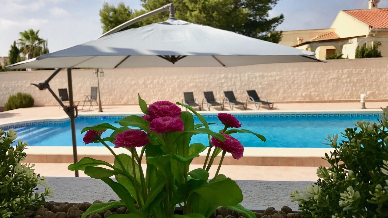 Photo of Outdoor in La Siesta