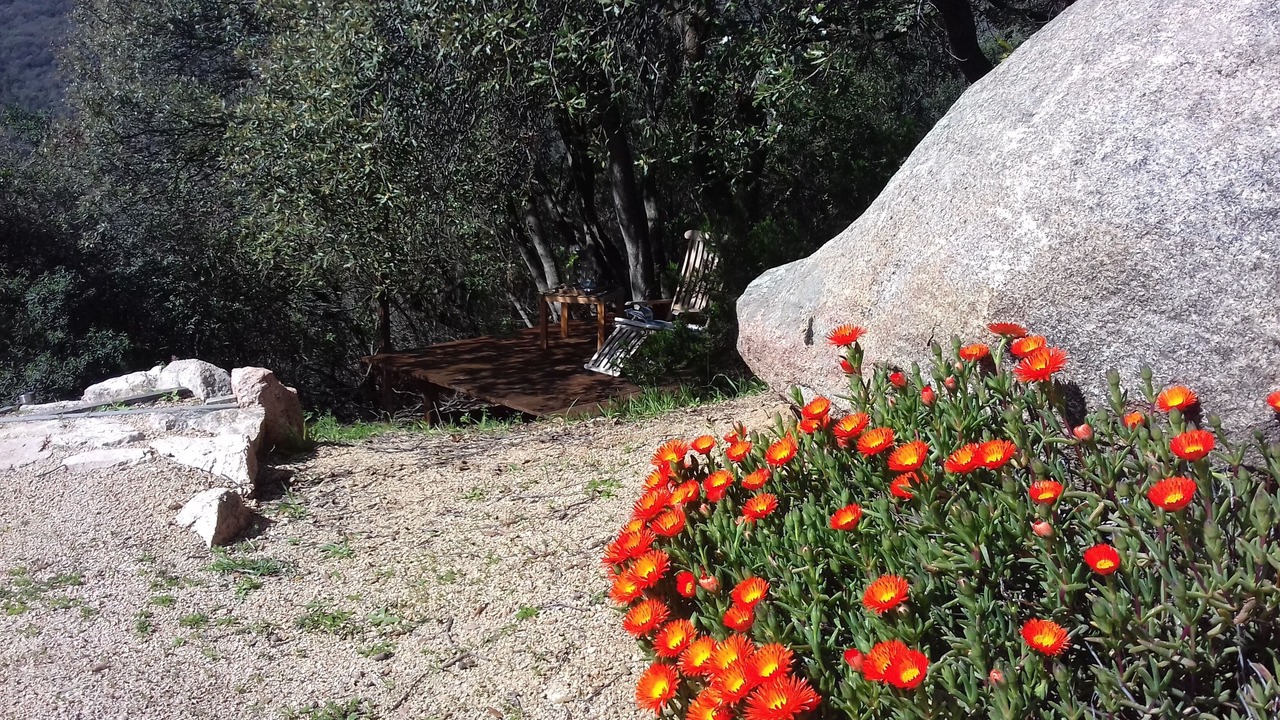 Photo of Outdoor in Olmeto