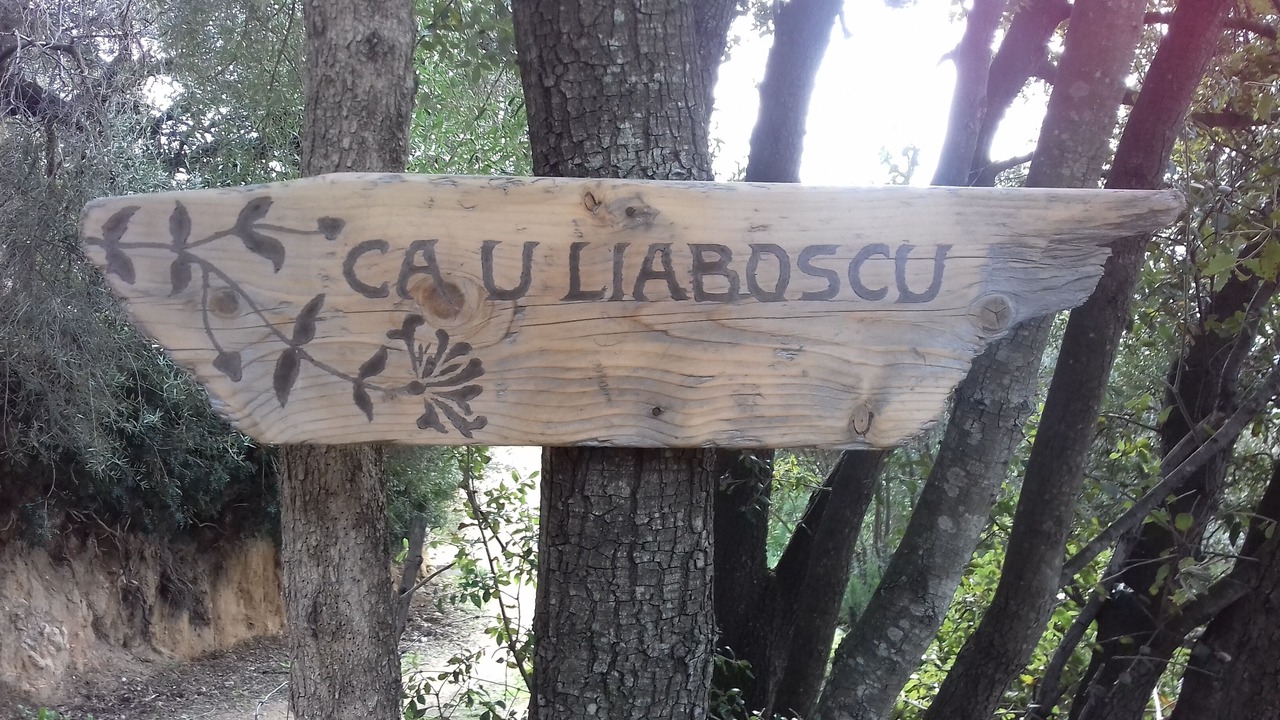 Photo of Outdoor in Olmeto