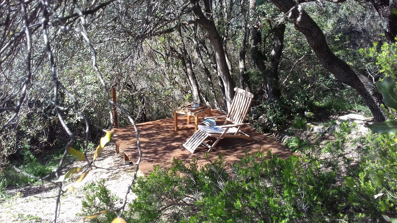 Photo of Outdoor in Olmeto