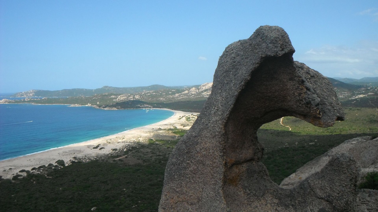 Photo of Others in Olmeto