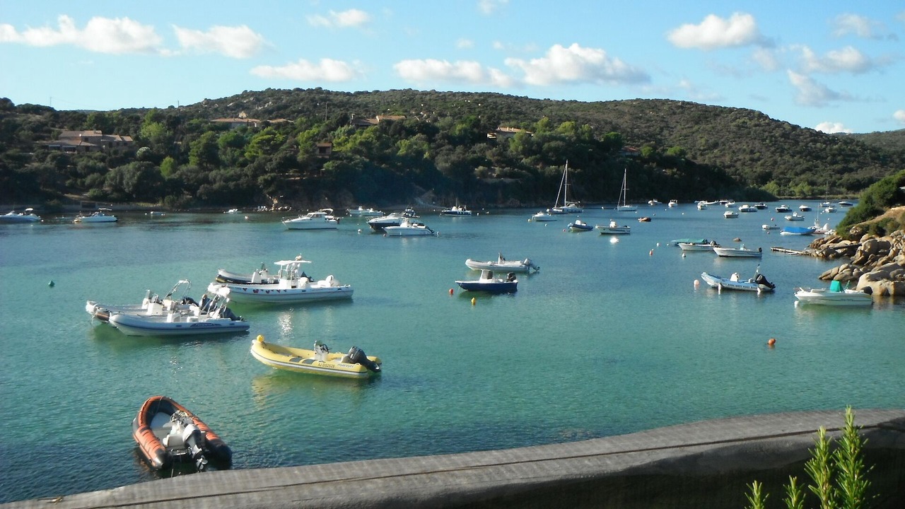Photo of Others in Olmeto