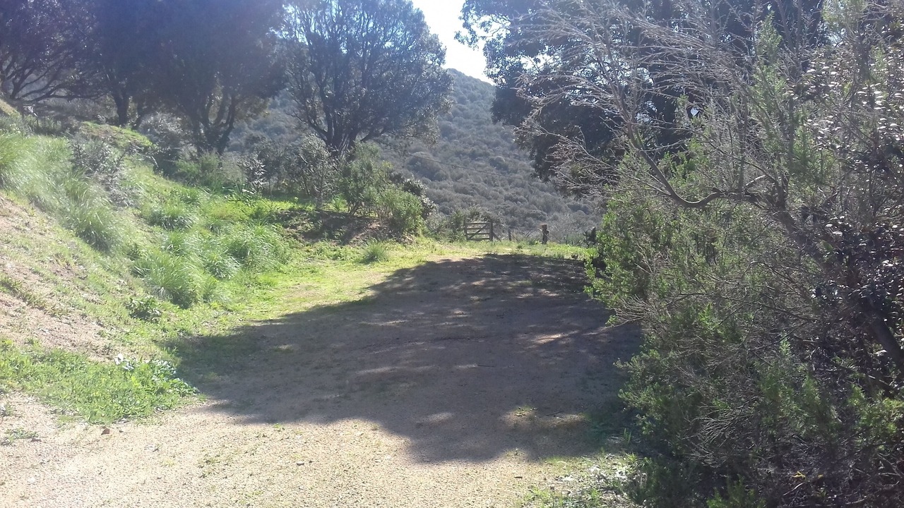 Photo of Outdoor in Olmeto