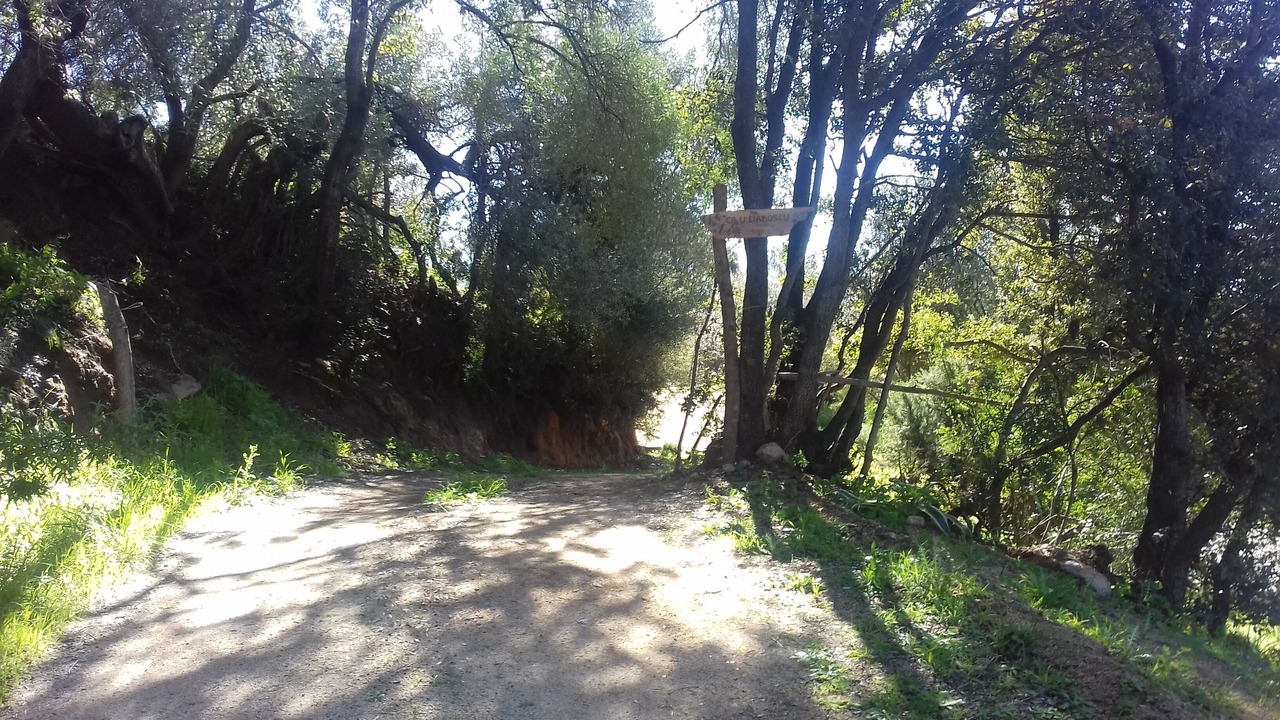 Photo of Outdoor in Olmeto