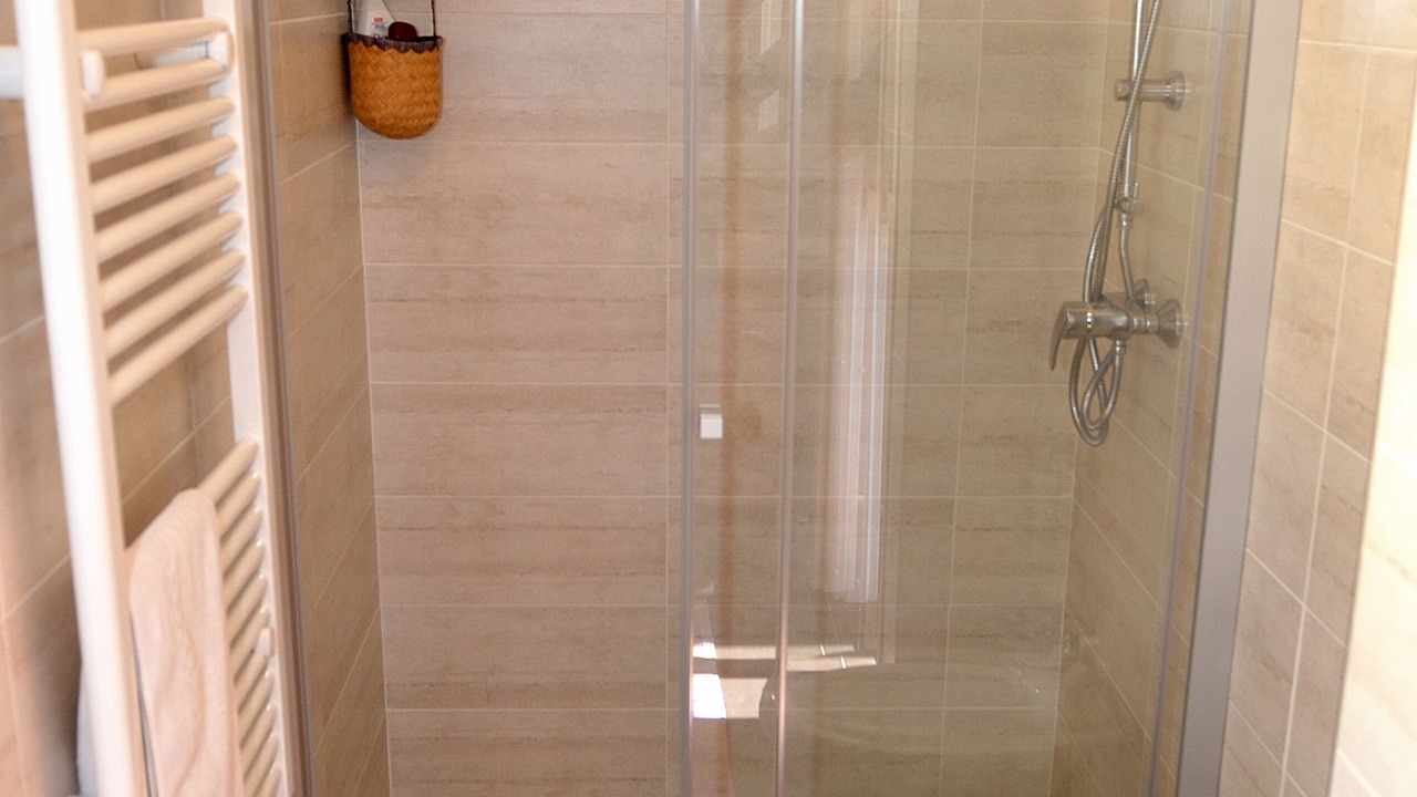 Photo of Bathroom in Olmeto