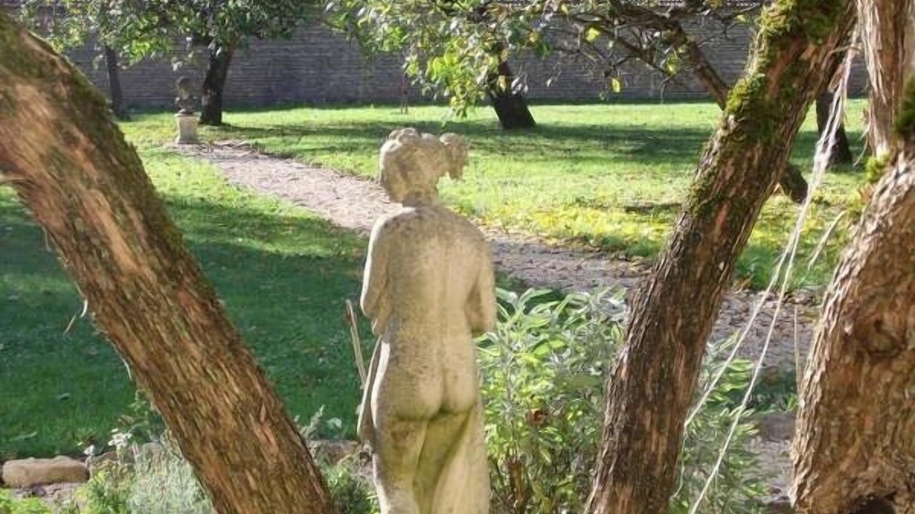 Photo of Outdoor in Dancevoir