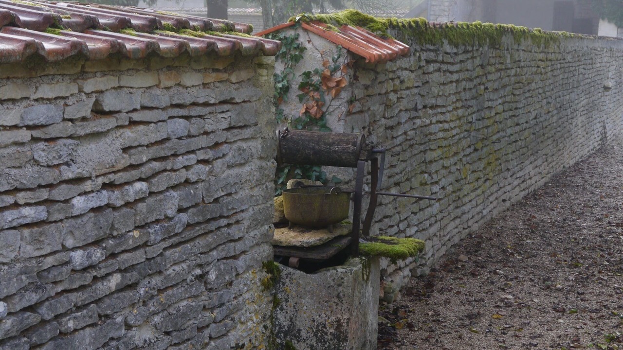 Photo of Outdoor in Dancevoir