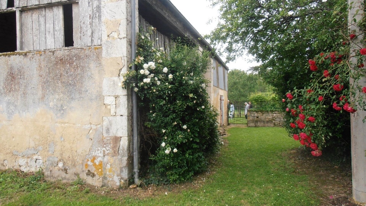Photo of Outdoor in Benet
