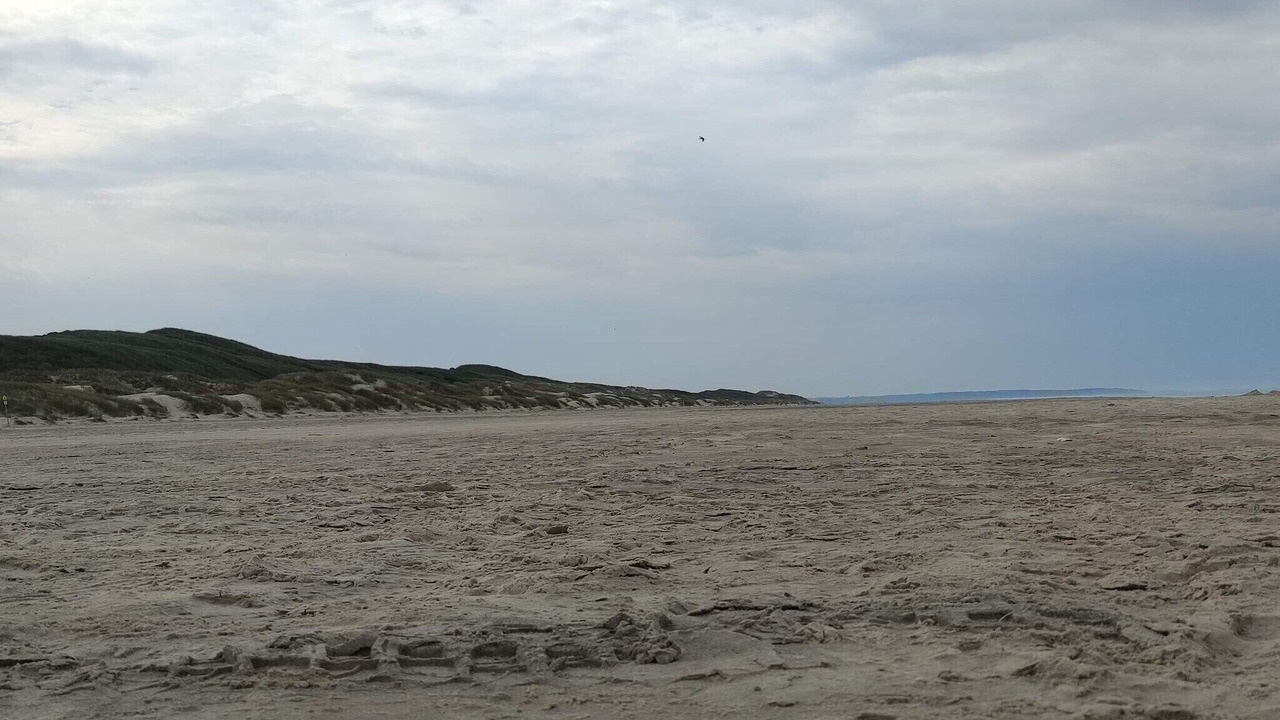 Photo of Others in Rødhus