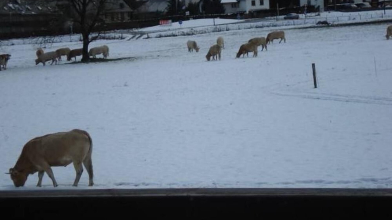 Photo of Outdoor in Vielle-Aure