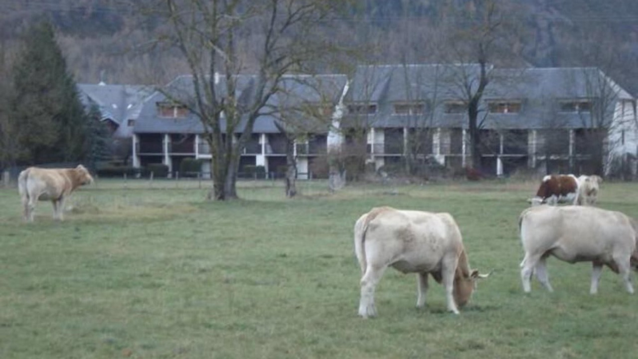 Photo of Outdoor in Vielle-Aure