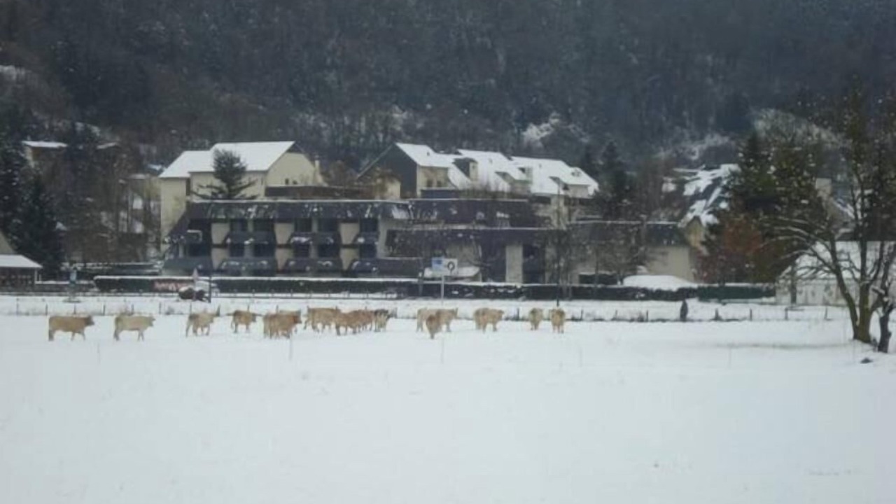 Photo of Outdoor in Vielle-Aure