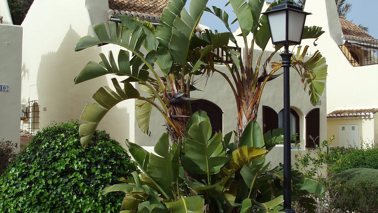 Photo of Outdoor in Atamaria