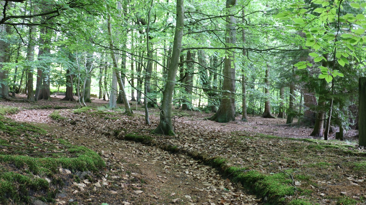 Photo of Others in Symington