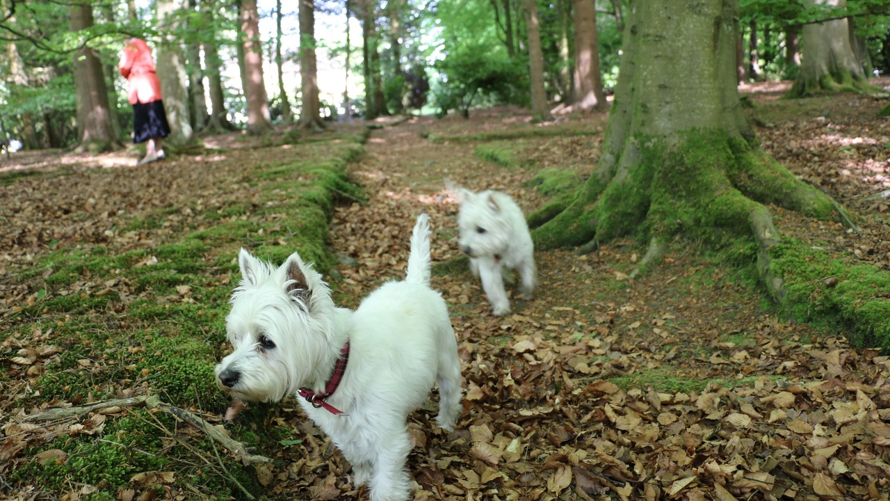 Photo of Others in Symington