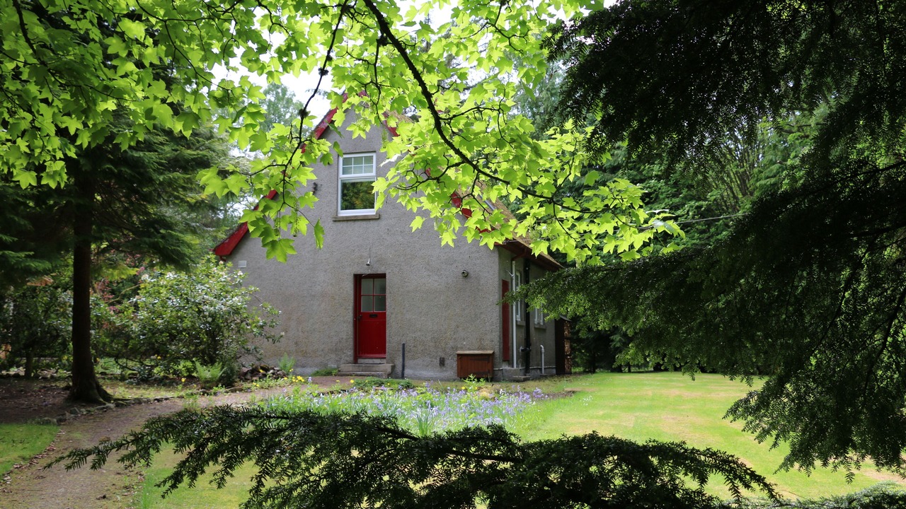 Photo of Outdoor in Symington