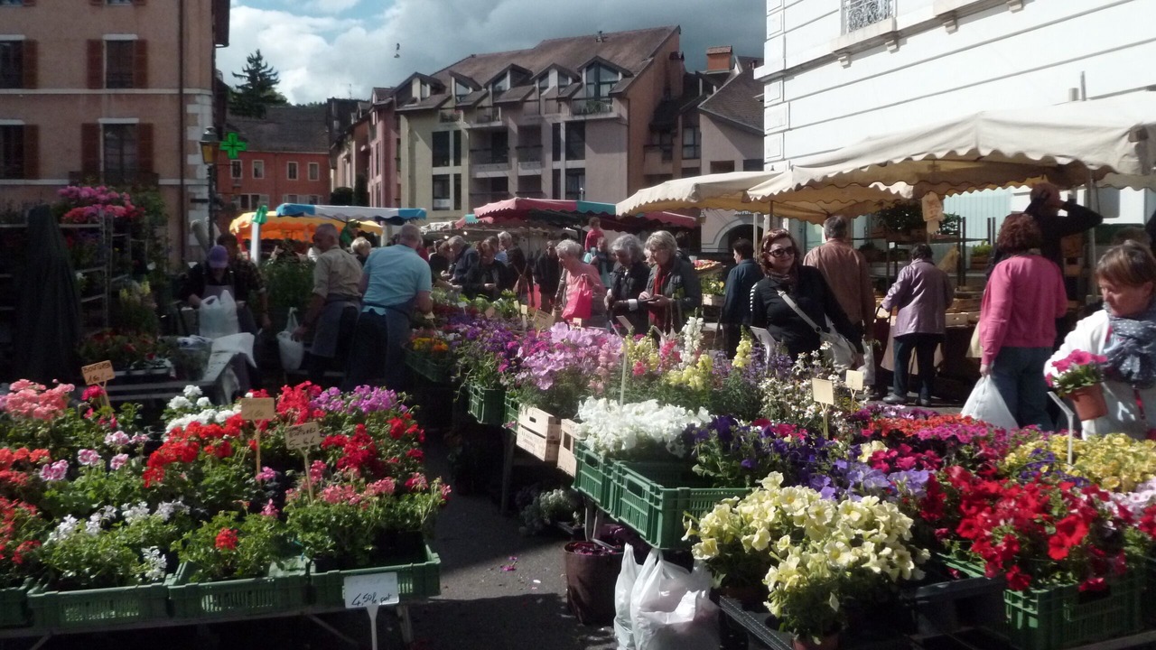 Photo of Outdoor in Annecy Old Town