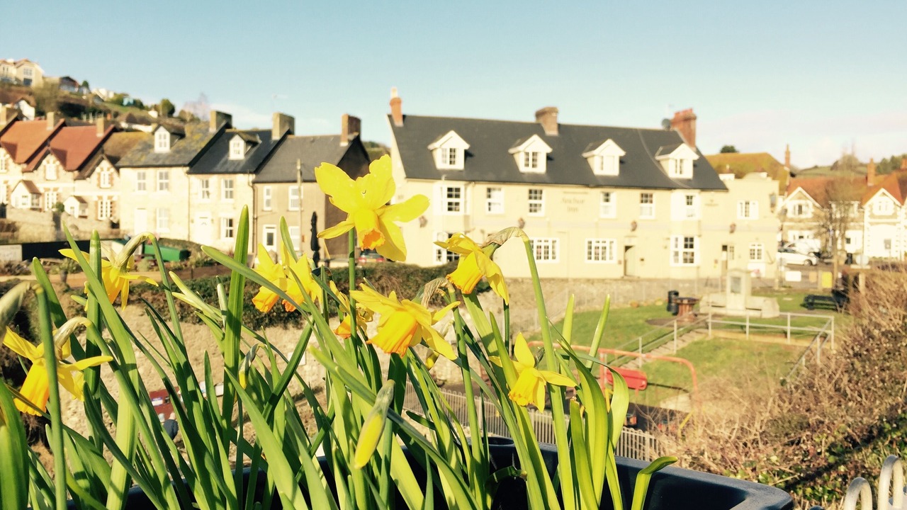 Photo of Others in Beer