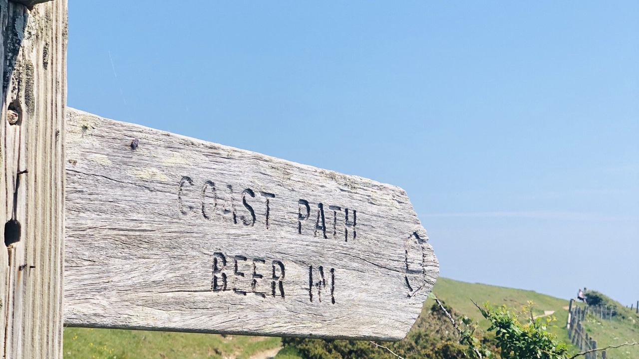 Photo of Outdoor in Beer