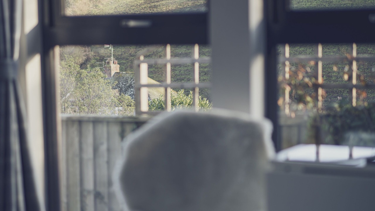 Photo of Others in Beer