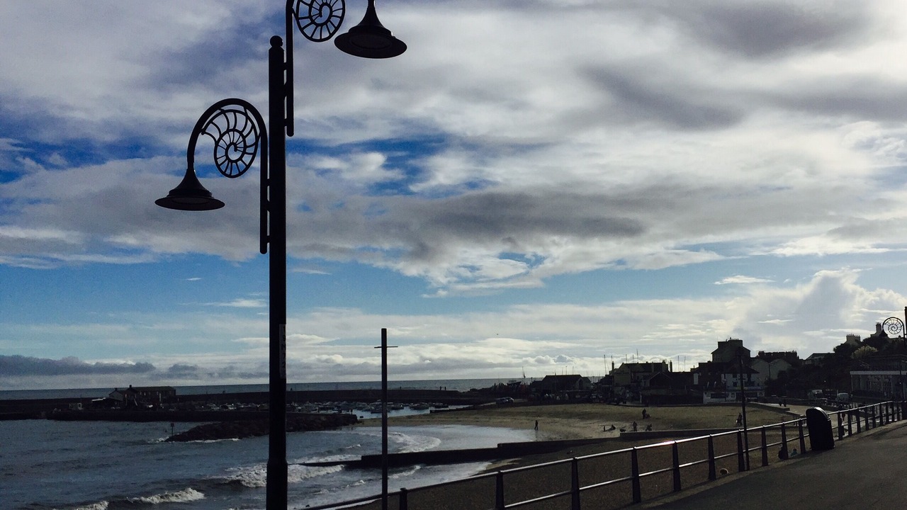 Photo of Others in Beer