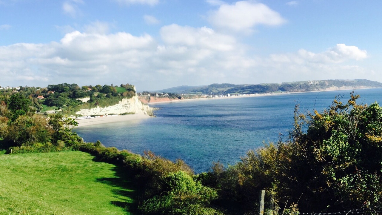 Photo of Others in Beer