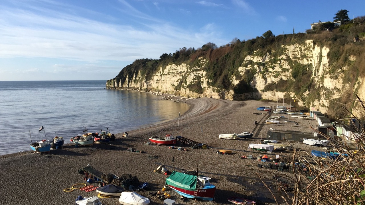 Photo of Others in Beer