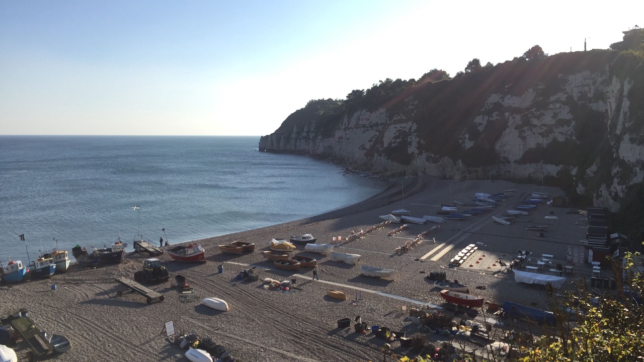 Photo of Others in Beer