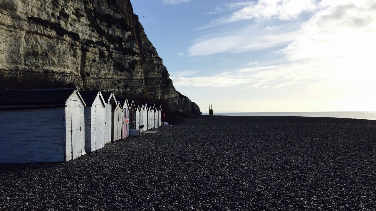 Photo of Others in Beer