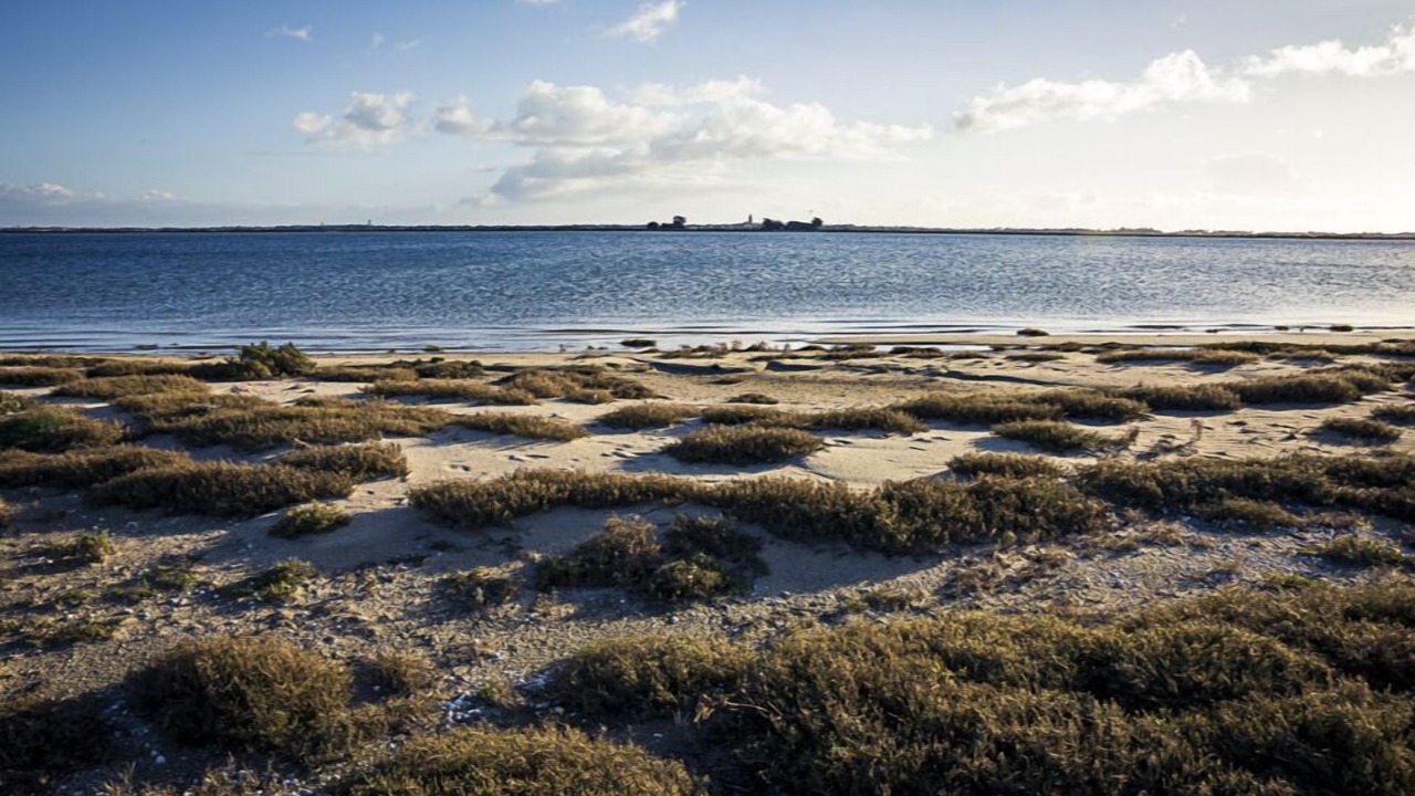 Photo of Others in Saint-Molf