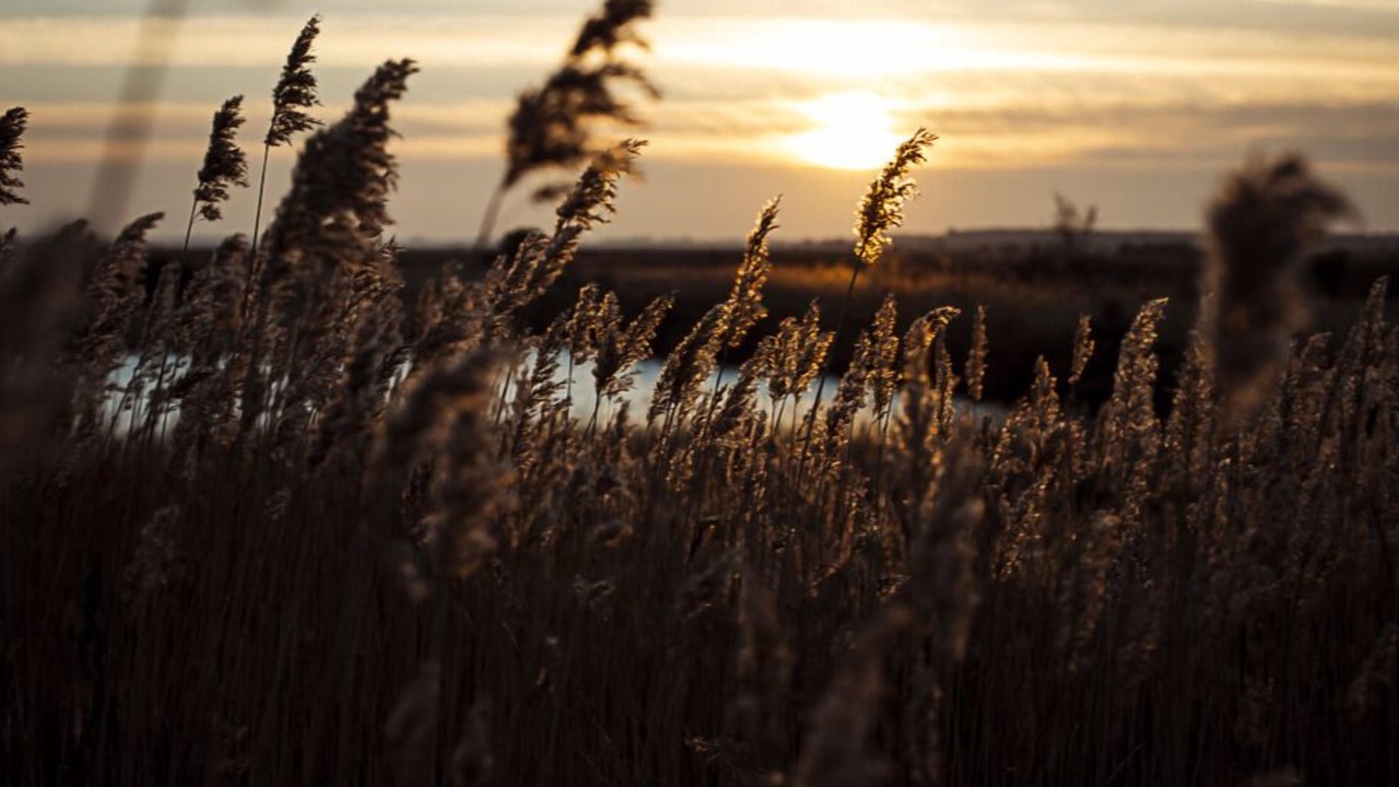 Photo of Others in Saint-Molf