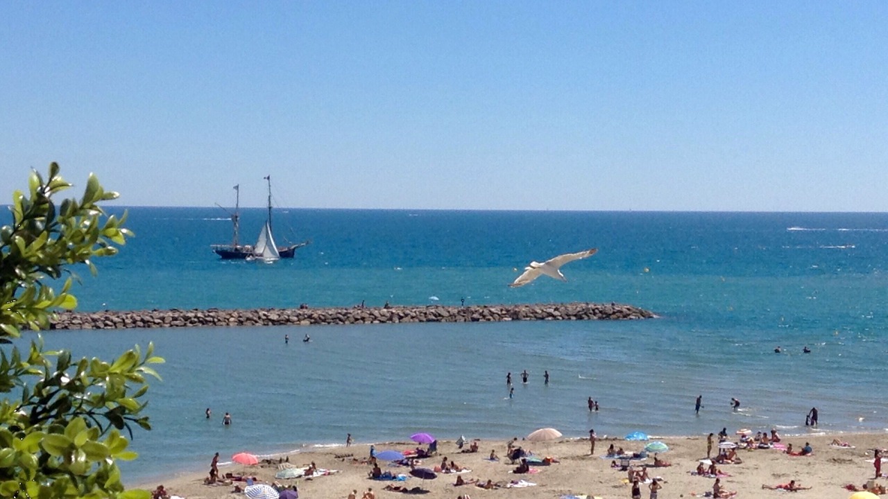 Photo of Others in Palavas-les-Flots