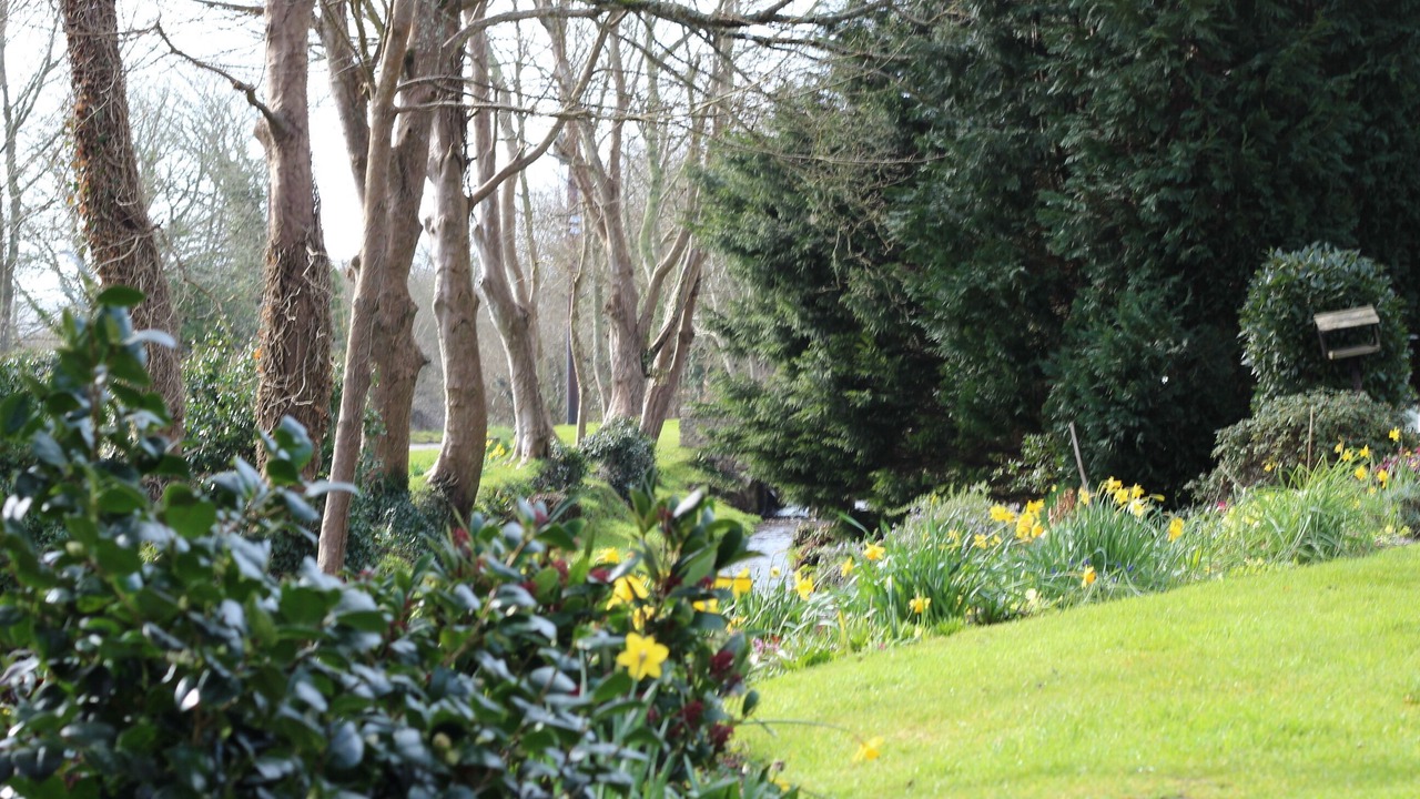 Photo of Outdoor in Redruth