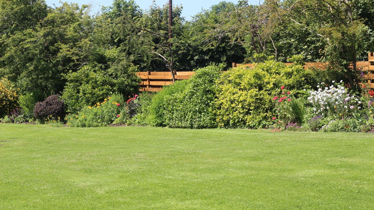 Photo of Outdoor in Redruth